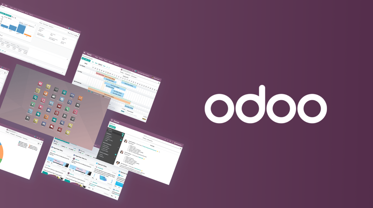 ODOO: remove from database a deleted module